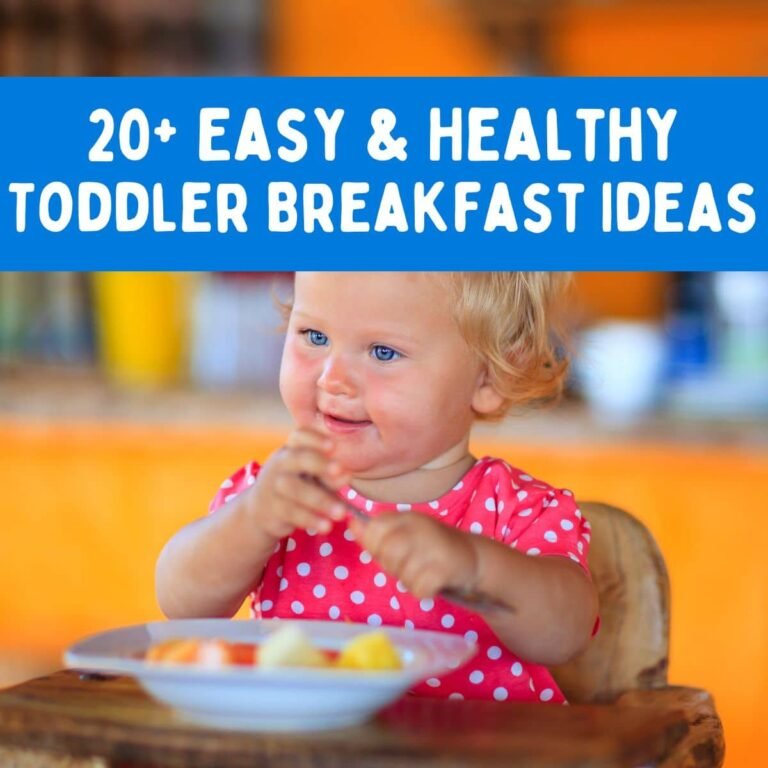 20+ Easy & Healthy Toddler Breakfast Ideas