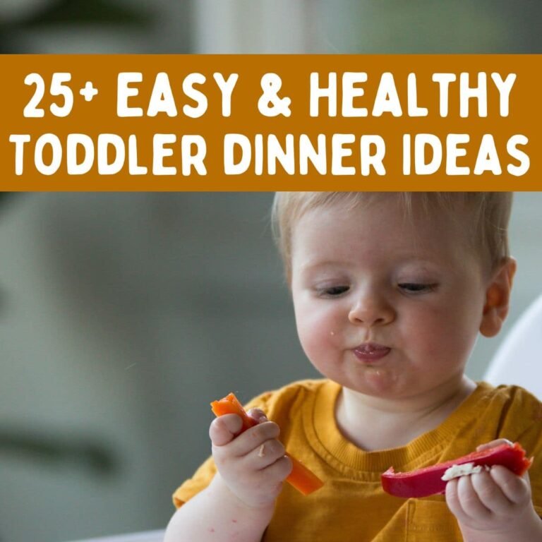 25+ Easy & Healthy Toddler Dinner Ideas (Picky-Eater Friendly)