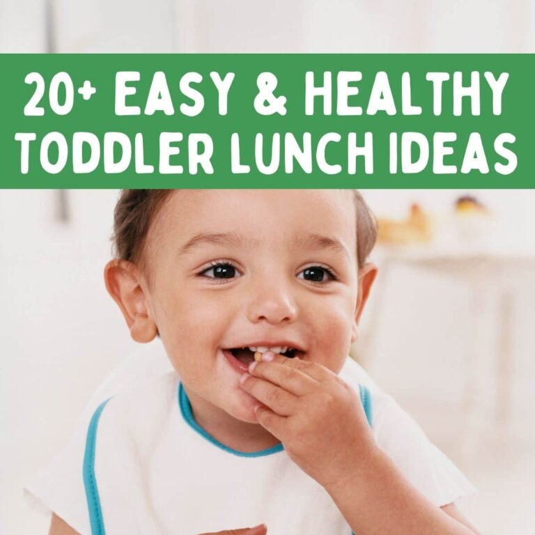 20+ Easy & Healthy Toddler Lunch Ideas (Picky-Eater Friendly)